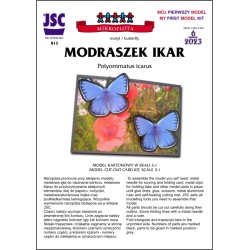 motyl MODRASZEK IKAR -...